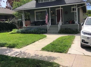 Dan S.'s lawn care service result