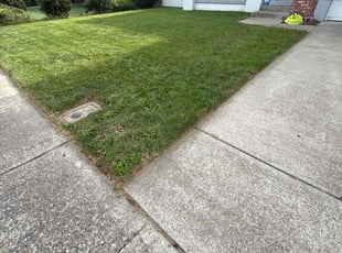 Demetra J.'s turf care service result