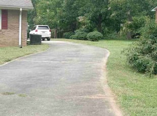 Sonja R.'s grass maintenance service result