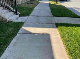 Julia R.'s grass cutting service result