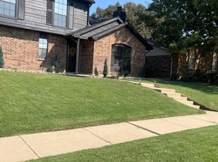 Dianna G.'s grass cutting service result