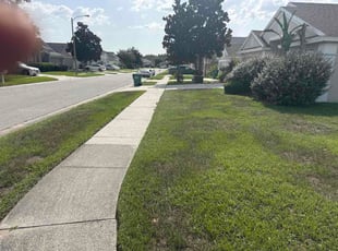 Yovanny P.'s lawn service service result