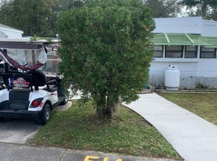 Danica W.'s Bush Trimming service result