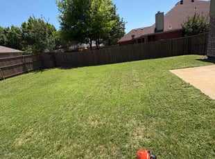 Stephanie M.'s lawn care service result