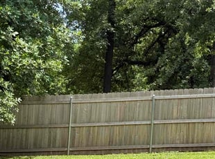 Sean L.'s grass maintenance service result