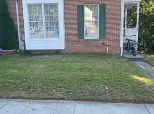 Carissa J.'s turf maintenance service result