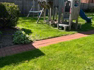 Lynne A.'s lawn care service result