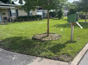 Ross M.'s turf care service result