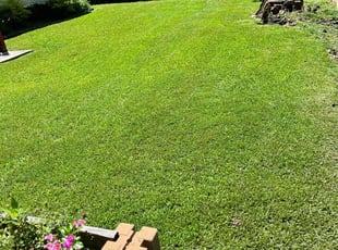 Jocelyn H.'s lawn maintenance service result