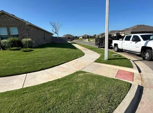 Martin B.'s grass cutting service result