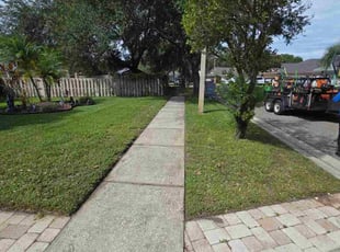 Kwanghee K.'s grass cutting service result