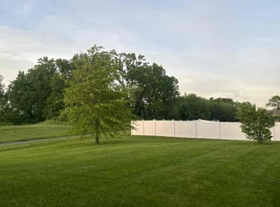 Miguel S.'s lawn care services service result