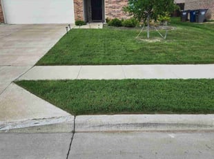 Laurie M.'s lawn maintenance service result
