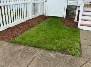Michele T.'s lawn care services service result
