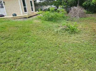 Sheree K.'s lawn care services service result