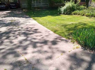 George H.'s grass cutting service result