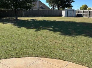 Vivian G.'s turf care service result