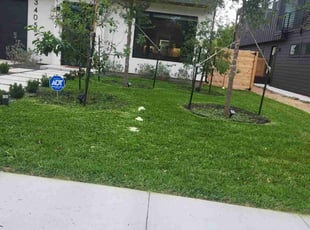 Lyn Y.'s grass maintenance service result