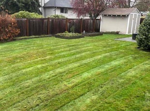 Trina J.'s Leaf Removal service result