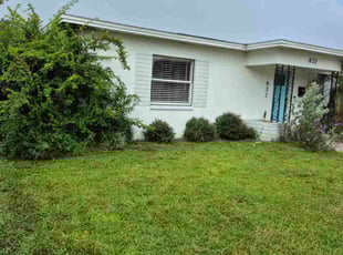 Matt M.'s lawn care service result