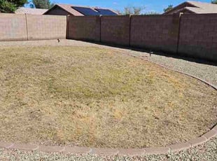 Robert M.'s lawn service service result