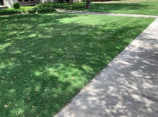 Janelle B.'s turf care service result