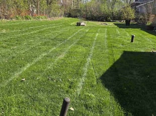 Todd B.'s lawn care services service result
