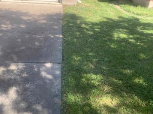 John S.'s lawn care service result