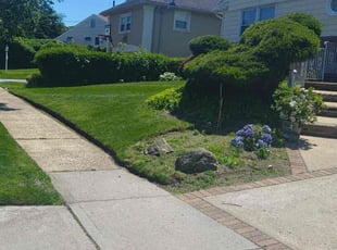 Jane P.'s lawn maintenance service result
