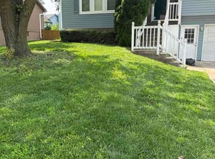 Jasmin R.'s lawn care services service result