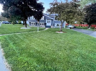 Alex M.'s grass cutting service result