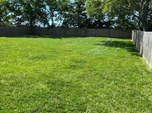 Derrick J.'s grass cutting service result