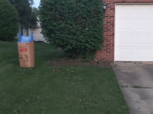 Richard J.'s Bush Trimming service result