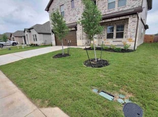 Phoebe B.'s lawn care services service result