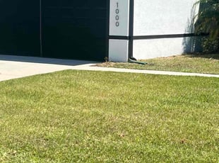 Peter M.'s grass maintenance service result