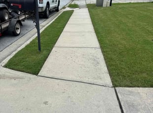 Kelly D.'s grass maintenance service result