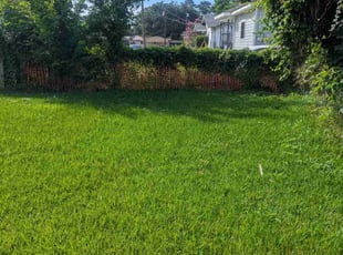 Amanda C.'s lawn care service result