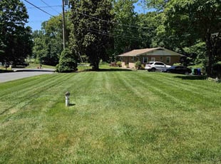 Rodney C.'s lawn service service result