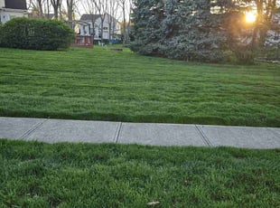 Susan S.'s lawn care service result