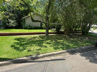Mike M.'s lawn maintenance service result