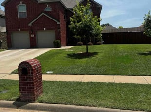 Corin G.'s grass maintenance service result