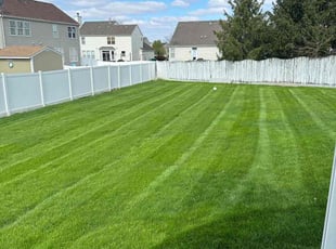 John S.'s turf care service result