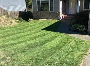 Gary W.'s lawn service service result