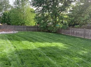 Amanda Q.'s lawn service service result