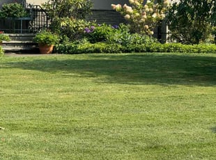 Juanita C.'s lawn service service result