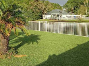 Tonisha B.'s lawn service service result