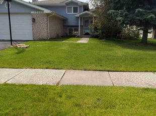 Tom H.'s lawn maintenance service result
