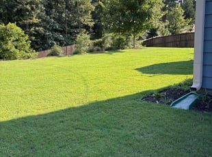 Maria B.'s lawn care service result