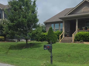 Erika D.'s Leaf Removal service result