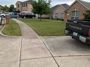 Sharyl T.'s turf care service result